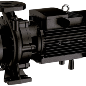 NBW L 80-65-XX-X/2-380-G (2 полюса двигателя, рабочее колесо - чугун)