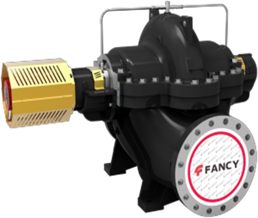 Насосы с раздельным корпусом двойного всасывания FANCY серии FSCM/FSC